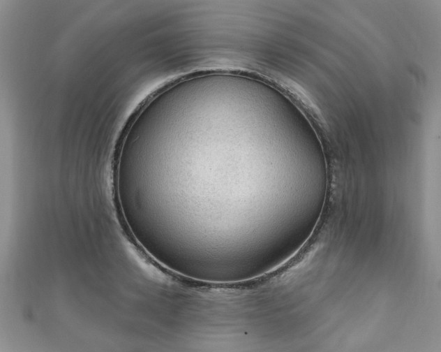 X0000110940942200906261258