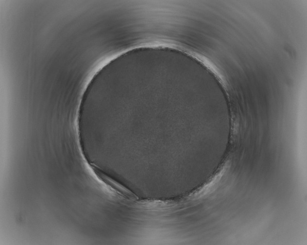 X0000110940943200906261258