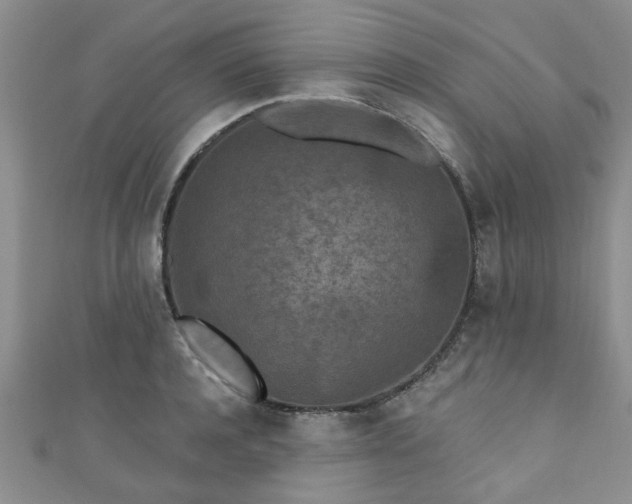 X0000110940944200906261258