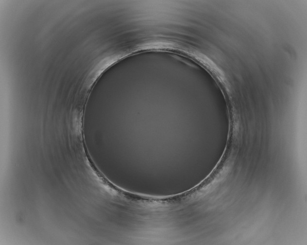 X0000110940945200906261258