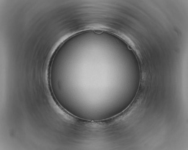 X0000110940947200906261258