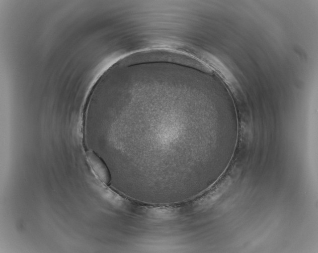 X0000110940948200906261258