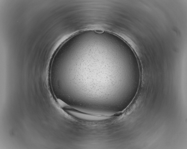 X0000110940949200906261258