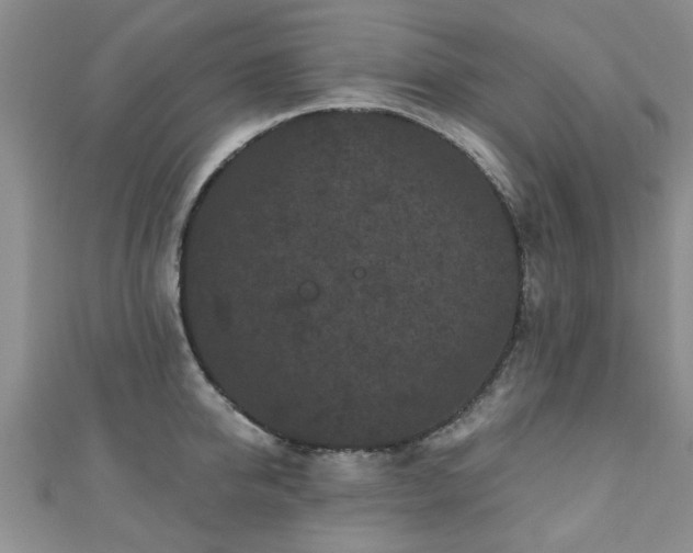 X0000110940950200906261258