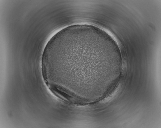 X0000110940951200906261258