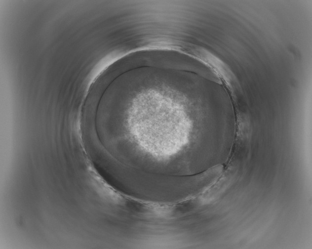 X0000110940952200906261258