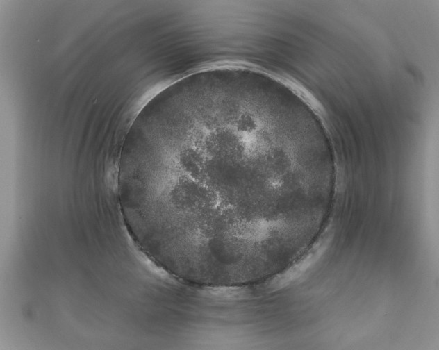 X0000110940953200906261258