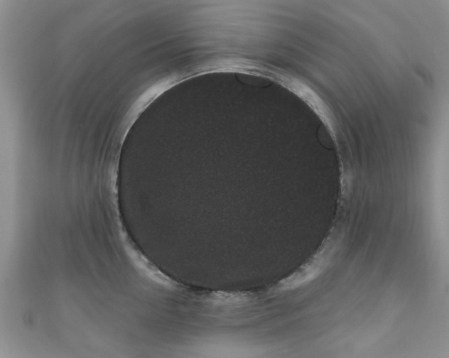 X0000110940954200906261258