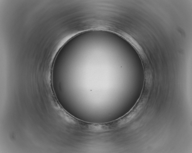 X0000110940956200906261258