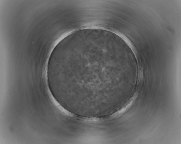 X0000110940957200906261258