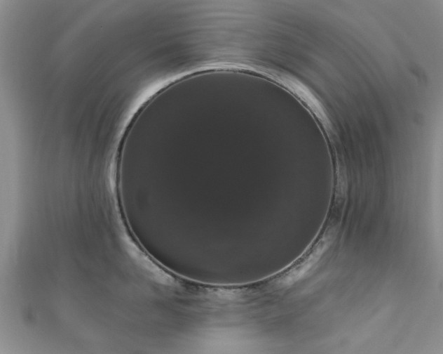 X0000110940958200906261258