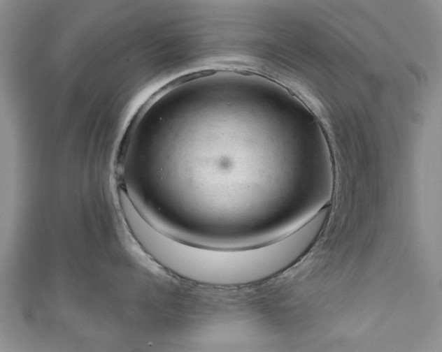 X0000110940960200906261258