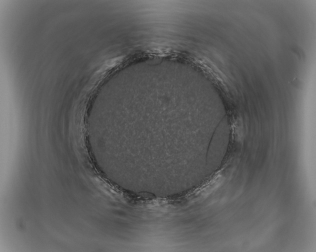 X0000110940961200906261257