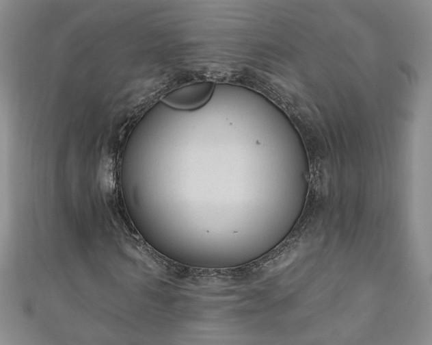 X0000110940962200906261257