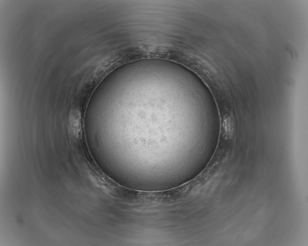 X0000110940963200906261257