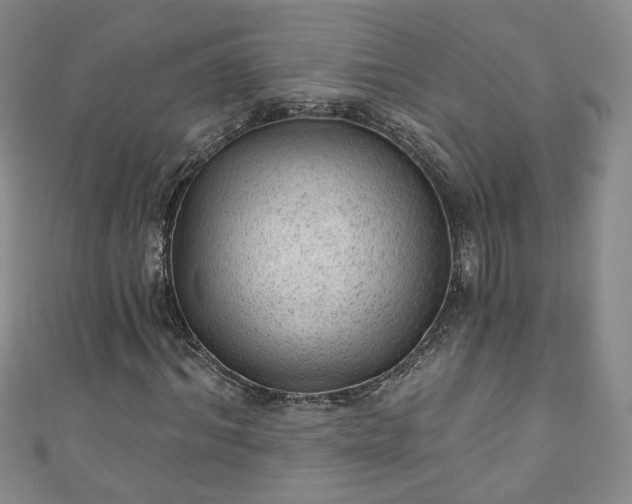 X0000110940964200906261257