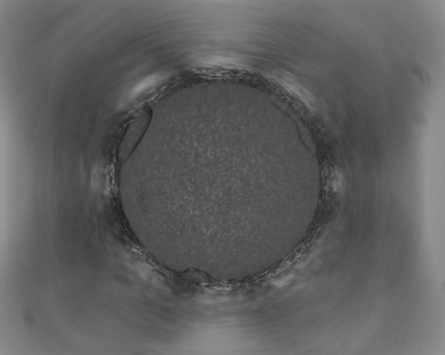 X0000110940965200906261257