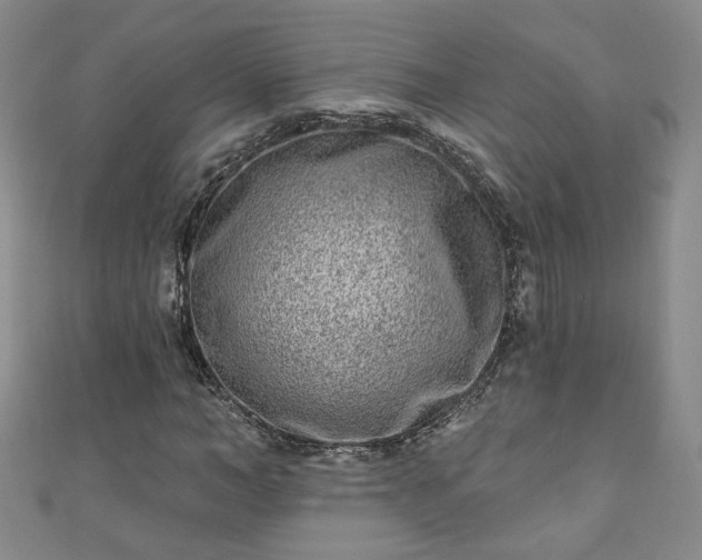 X0000110940966200906261257