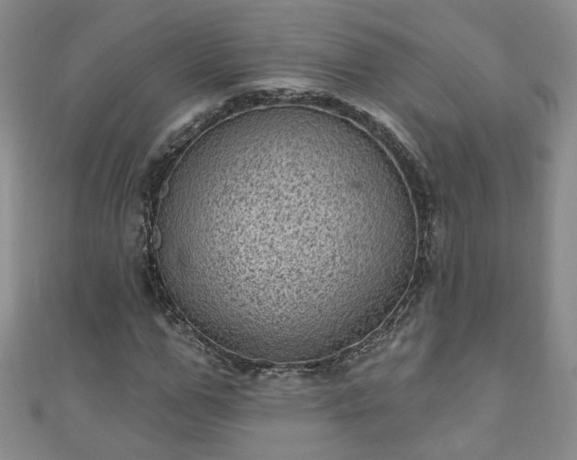 X0000110940967200906261257