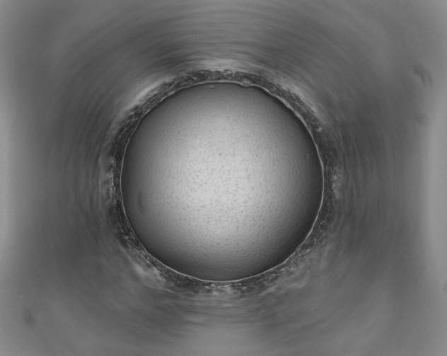 X0000110940968200906261257