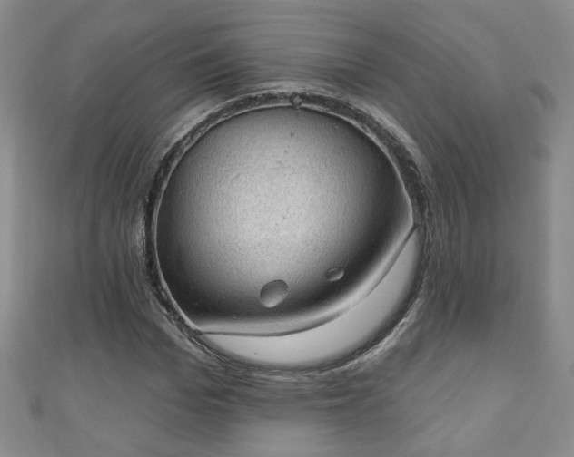 X0000110940969200906261257