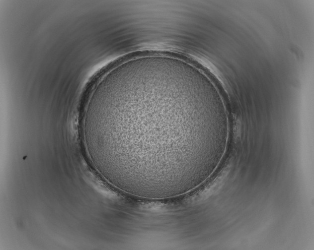 X0000110940971200906261257