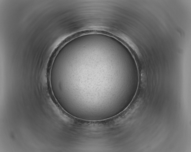 X0000110940972200906261257