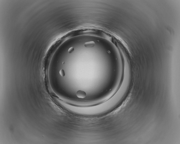 X0000110940973200906261257