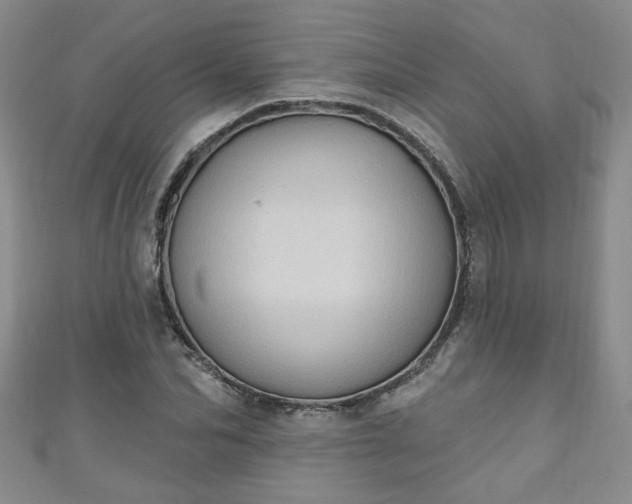 X0000110940974200906261257