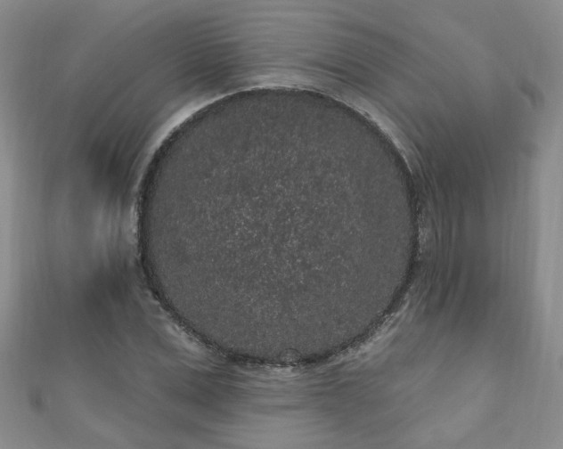 X0000110940975200906261257