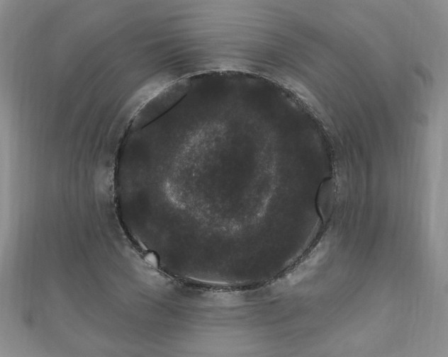 X0000110940977200906261257