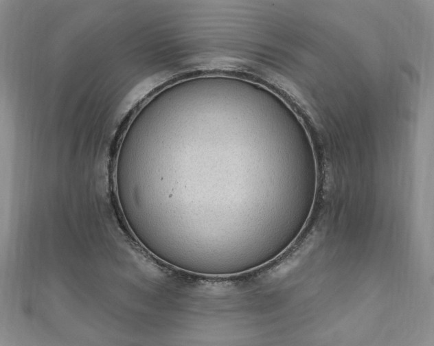 X0000110940978200906261257