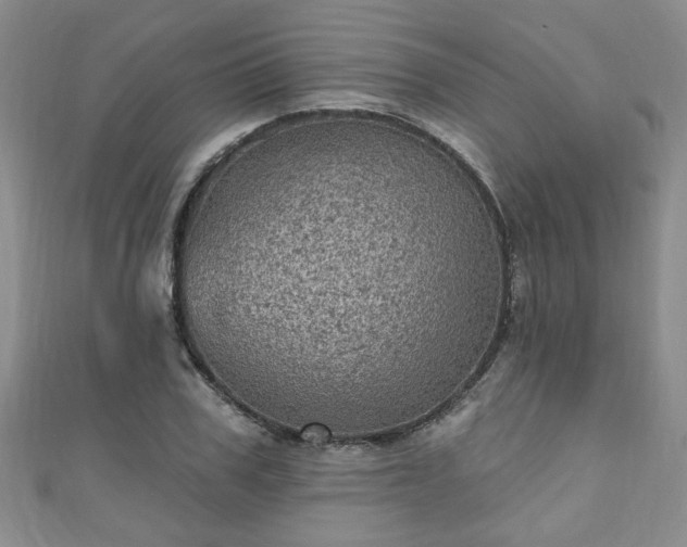 X0000110940979200906261257