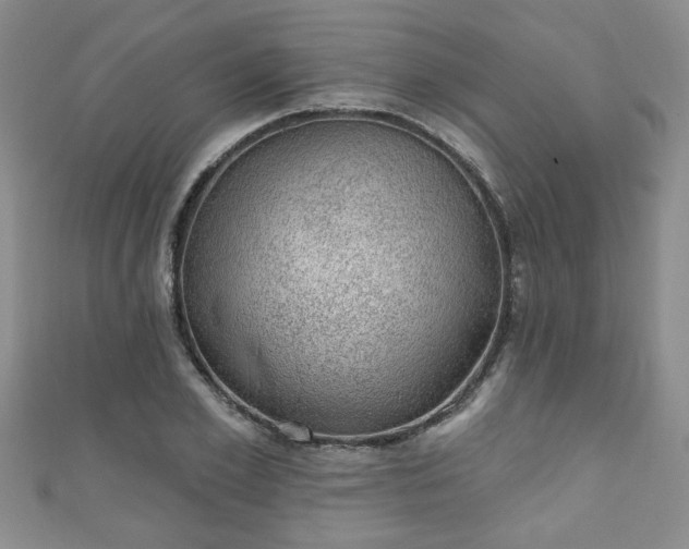 X0000110940981200906261257