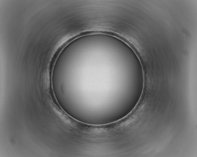 X0000110940982200906261257