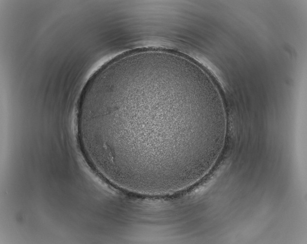X0000110940983200906261257