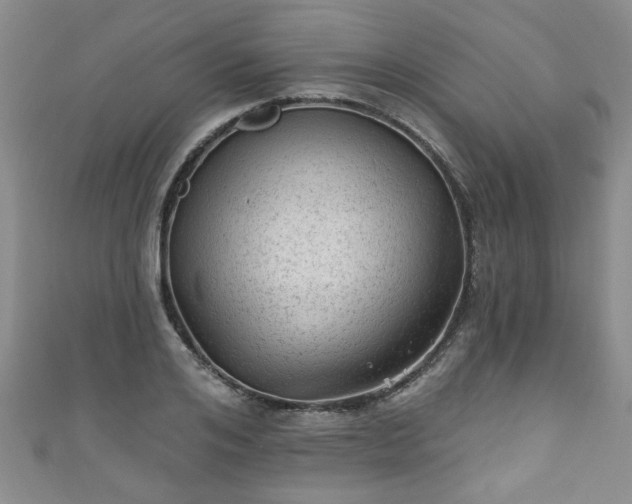 X0000110940984200906261257