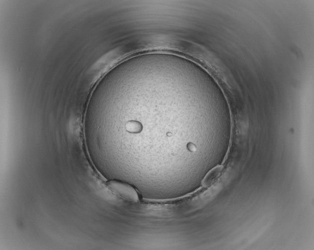 X0000110940985200906261257