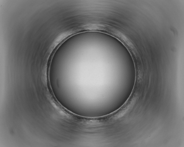 X0000110940986200906261257