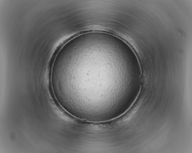 X0000110940987200906261257