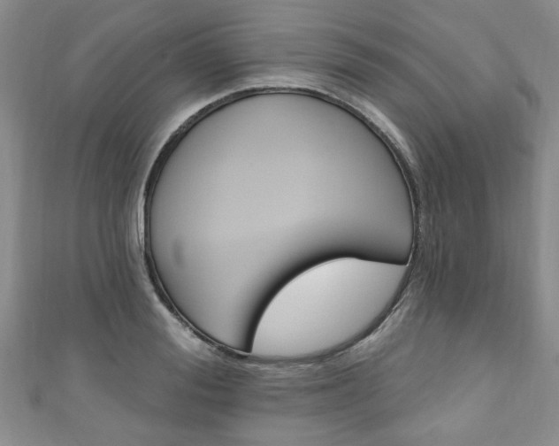 X0000110940988200906261257