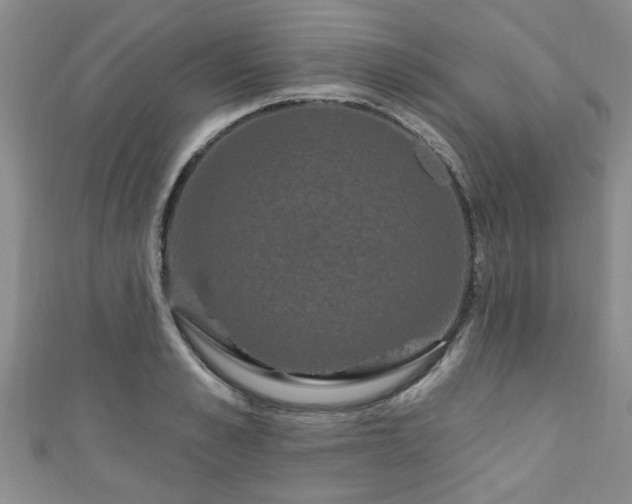 X0000110940989200906261257