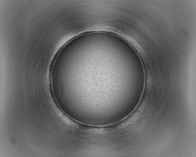 X0000110940990200906261257