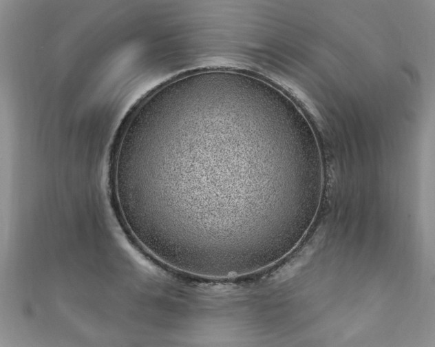 X0000110940991200906261257