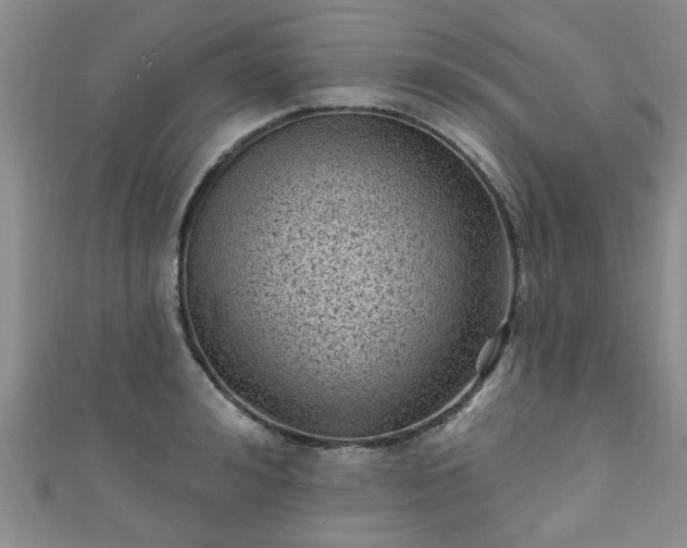 X0000110940992200906261257