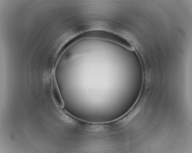 X0000110940993200906261257