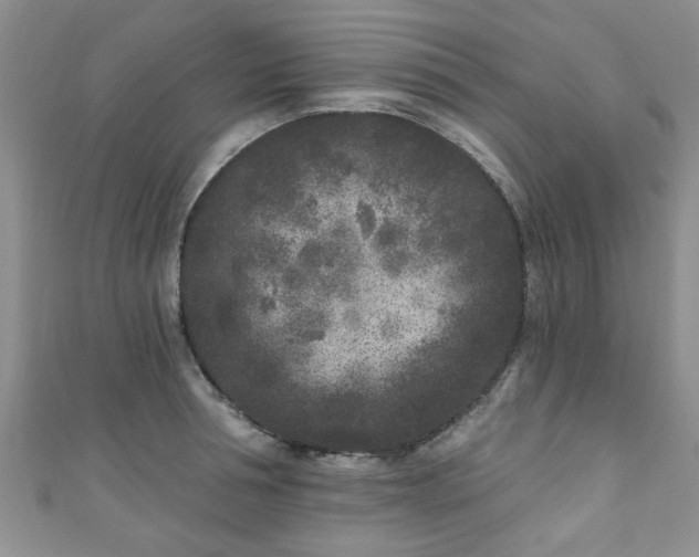 X0000110940994200906261257