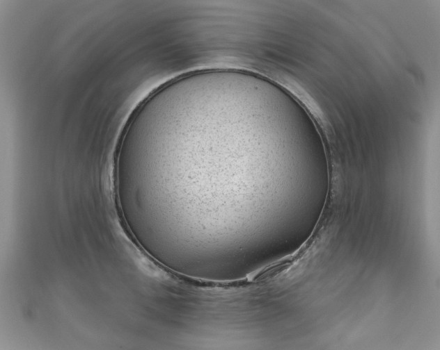 X0000110940996200906261257