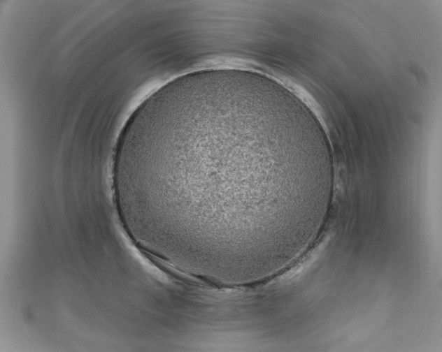 X0000110940997200906261257