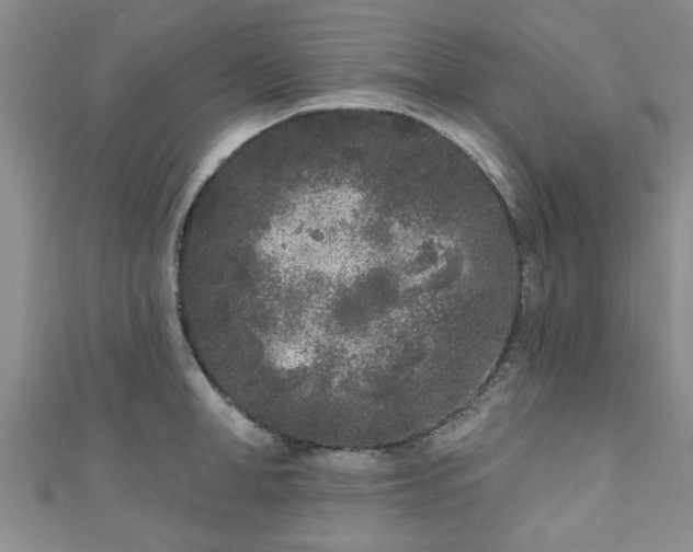 X0000110940998200906261257